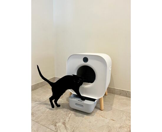  Автоматический кошачий туалет Xiaomi Xiaowan Intelligent Automatic Cat LitterBox 